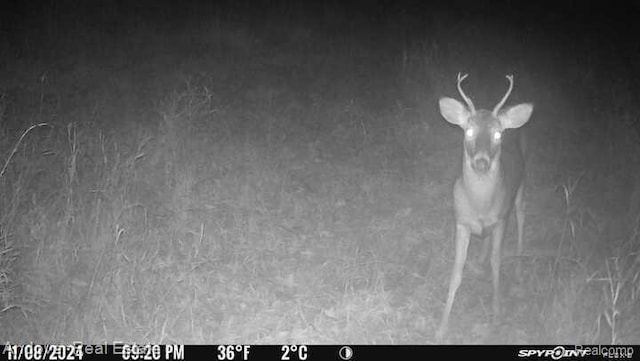 000B Kingsbury Rd, Delton, MI 49046 - photo 18