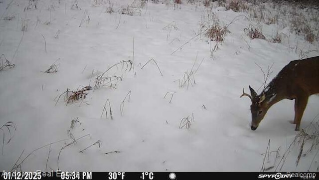 000B Kingsbury Rd, Delton, MI 49046 - photo 14