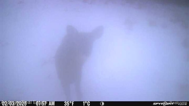 000B Kingsbury Rd, Delton, MI 49046 - photo 12