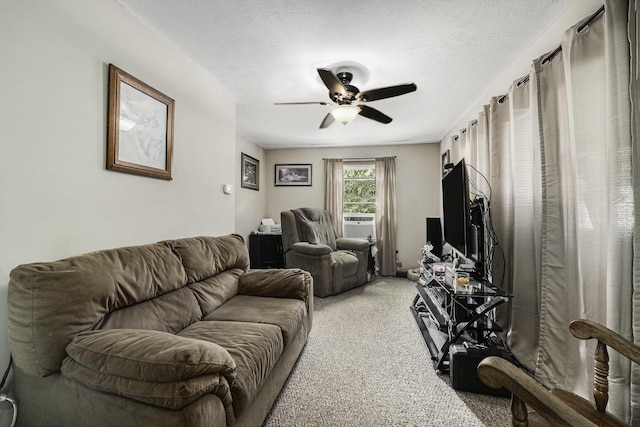 623 N Wilson Ave, Hastings, MI 49058 - photo 5