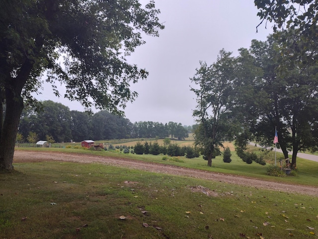 1130 Squawfield Rd, Hillsdale, MI 49242 - photo 8