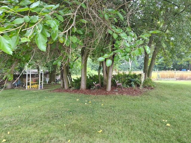 1130 Squawfield Rd, Hillsdale, MI 49242 - photo 23