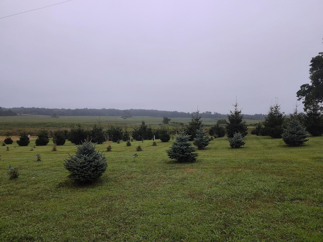 1130 Squawfield Rd, Hillsdale, MI 49242 - photo 42
