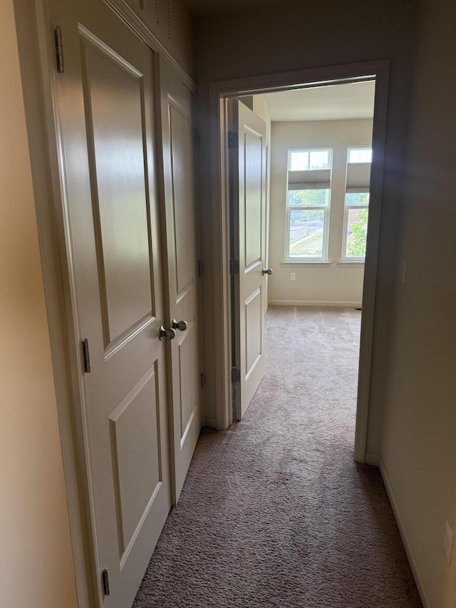 508 Woodlawn Ave, Royal Oak, MI 48073 - photo 16