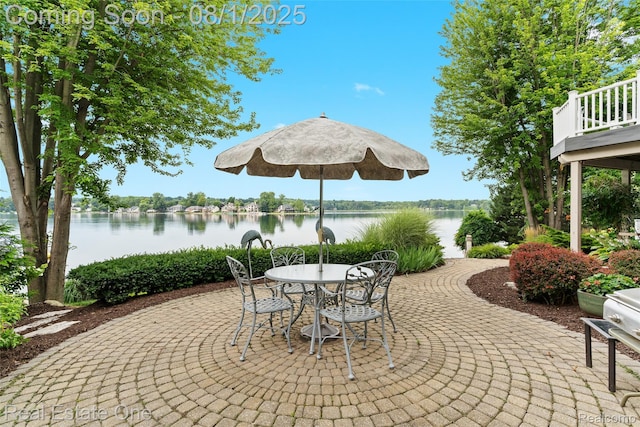 16048 Pine Bluff Ct, Fenton, MI 48430 - photo 45