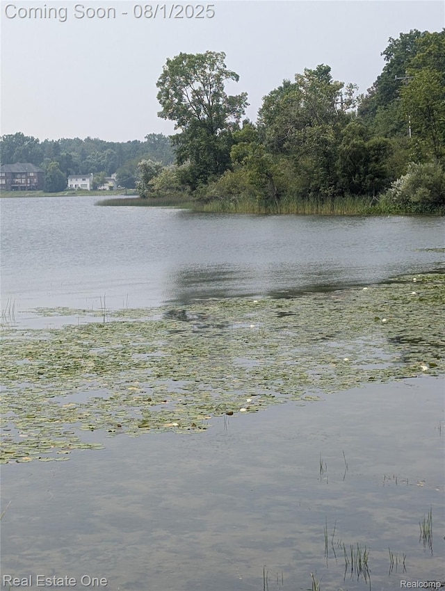 0000WARDROAD Ward Rd, Bloomfield, MI 48304 - photo 4