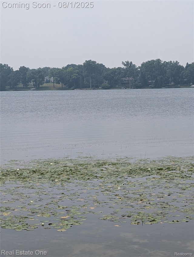 0000WARDROAD Ward Rd, Bloomfield, MI 48304 - photo 5