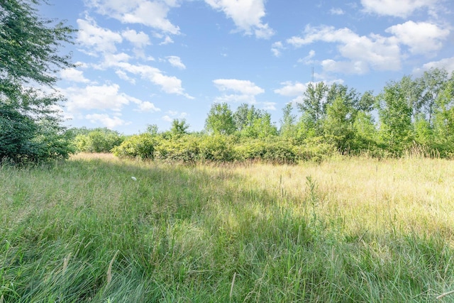 Kenora Dr, Saginaw, MI 48604 - photo 4