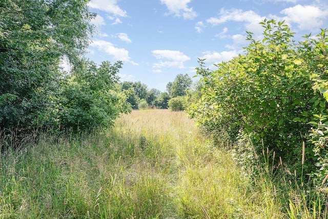 Kenora Dr, Saginaw, MI 48604 - photo 6