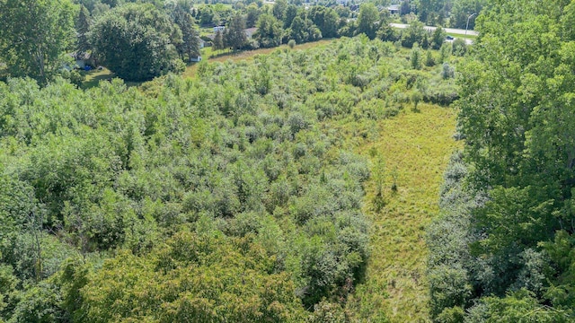 Kenora Dr, Saginaw, MI 48604 - photo 11