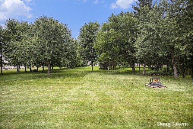 1609 Royal Crescent Dr, Holt, MI 48842 - photo 10