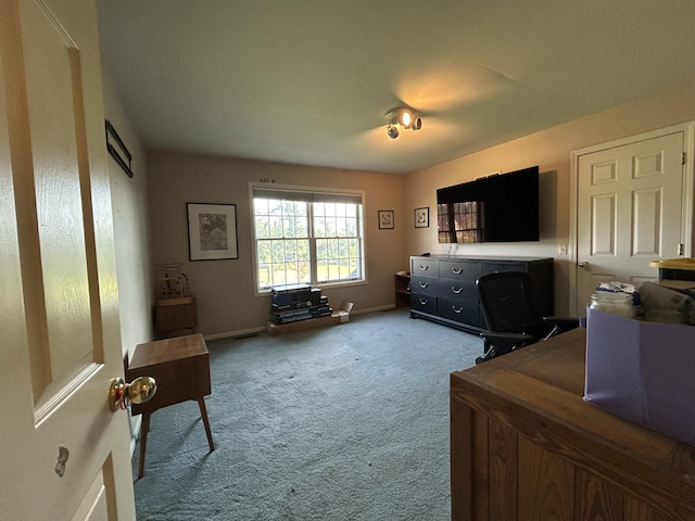 5217 Green Pine Ln, Kalamazoo, MI 49009 - photo 28