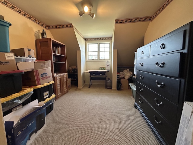 5217 Green Pine Ln, Kalamazoo, MI 49009 - photo 29