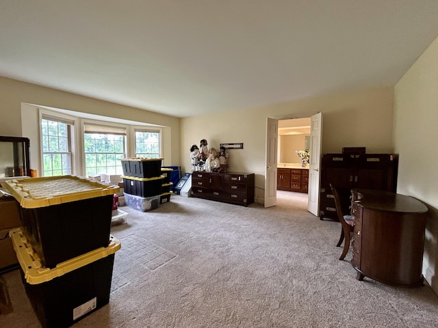 5217 Green Pine Ln, Kalamazoo, MI 49009 - photo 11