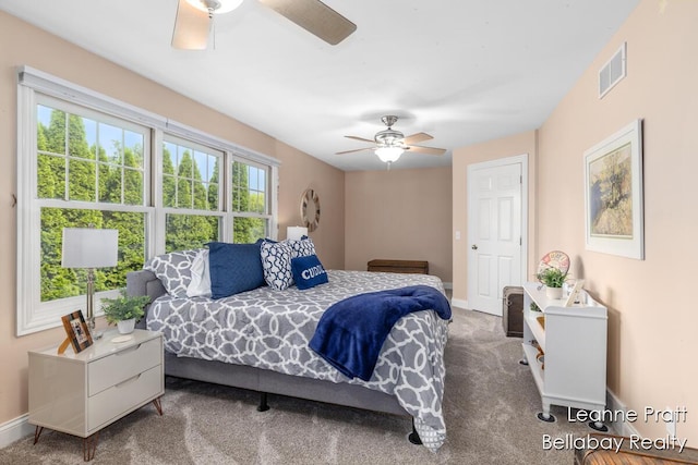 29418 Cedar Cove Ct, Marcellus, MI 49067 - photo 39