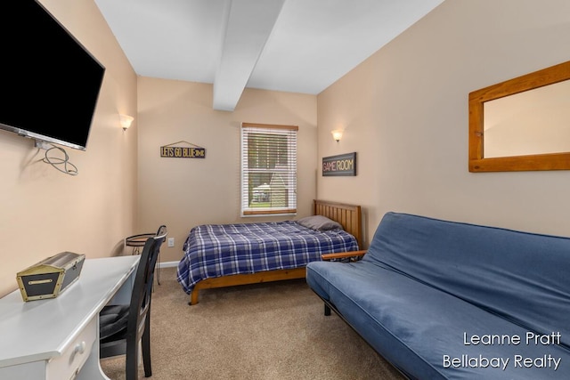 29418 Cedar Cove Ct, Marcellus, MI 49067 - photo 32