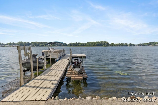 29418 Cedar Cove Ct, Marcellus, MI 49067 - photo 13