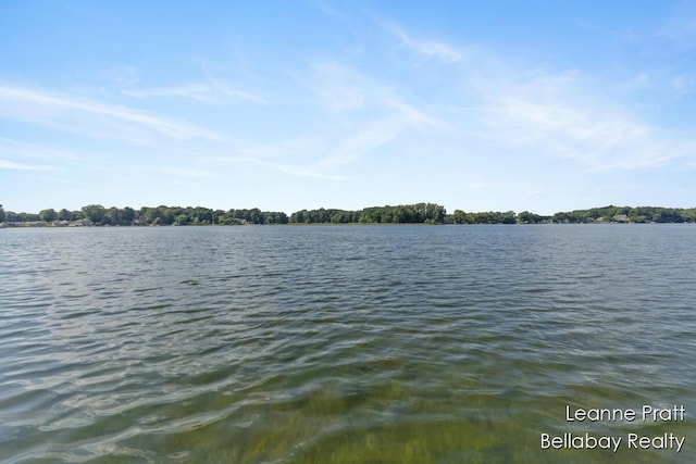 29418 Cedar Cove Ct, Marcellus, MI 49067 - photo 14