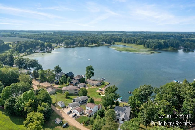 29418 Cedar Cove Ct, Marcellus, MI 49067 - photo 16