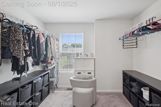 122 Saddleback Ct, White Lake, MI 48386 - photo 32
