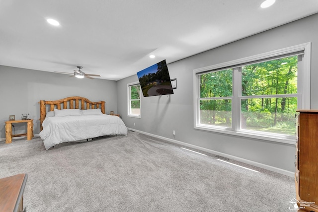 12526 Secor Rd, Ida, MI 48140 - photo 37