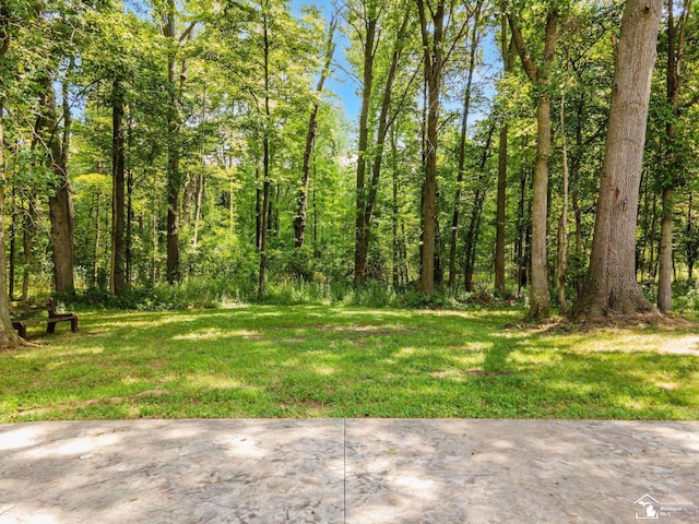 12526 Secor Rd, Ida, MI 48140 - photo 63
