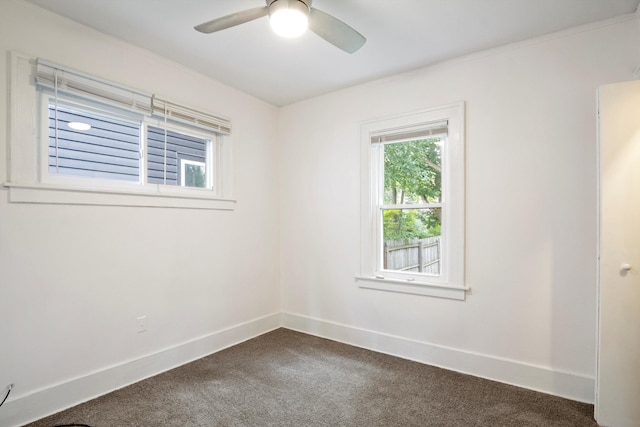 404 W Muir Ave, Hazel Park, MI 48030 - photo 23