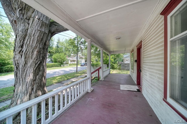 224 Berry St, Adrian, MI 49221 - photo 3
