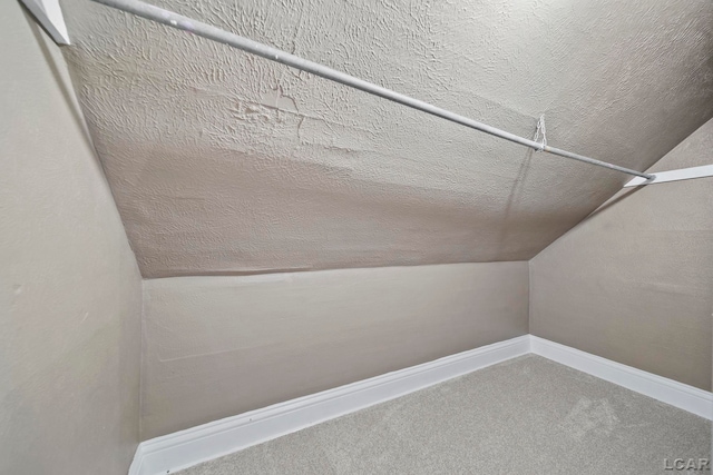 224 Berry St, Adrian, MI 49221 - photo 29