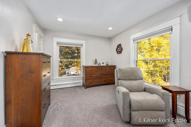950 Covell Ave NW, Grand Rapids, MI 49504 - photo 27