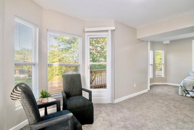 2116 Biddle Ave, Wyandotte, MI 48192 - photo 28