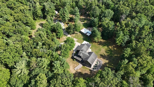 18925 Stronach Dam Rd, Wellston, MI 49689 - photo 27