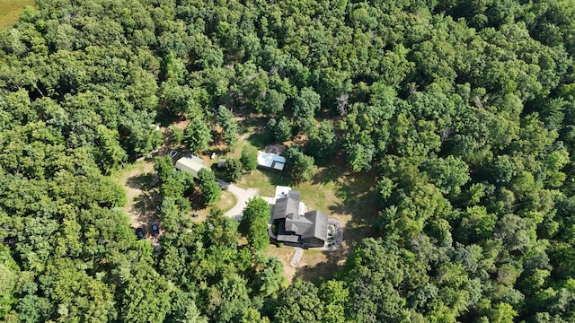 18925 Stronach Dam Rd, Wellston, MI 49689 - photo 29