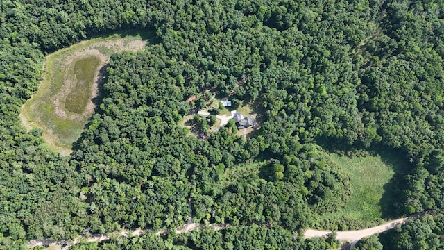 18925 Stronach Dam Rd, Wellston, MI 49689 - photo 28