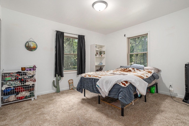 72 Royal Rd, Springfield, MI 49037 - photo 8