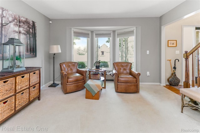 8745 Birchwood Dr, Berlin, MI 48166 - photo 8
