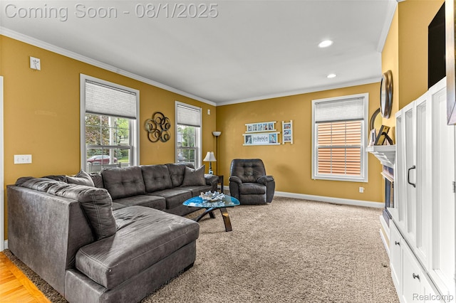 524 Orchard St, Wyandotte, MI 48192 - photo 6