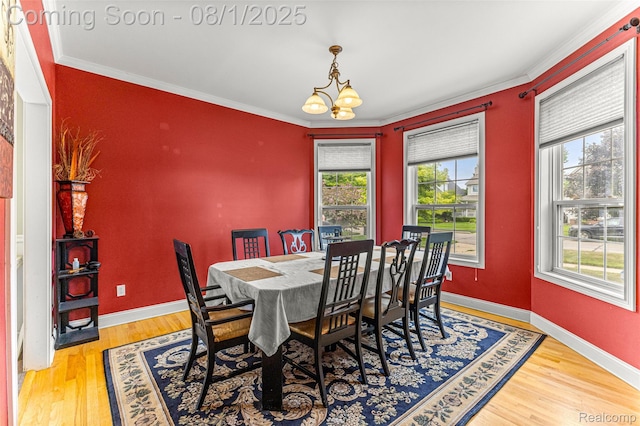 524 Orchard St, Wyandotte, MI 48192 - photo 13