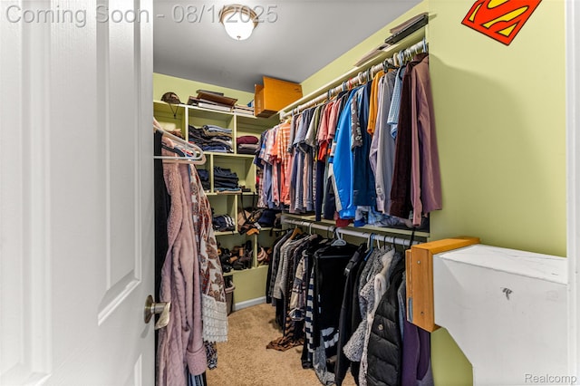 524 Orchard St, Wyandotte, MI 48192 - photo 23
