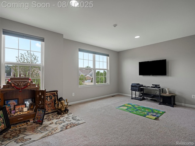5775 Branch Ct, Canton, MI 48187 - photo 29
