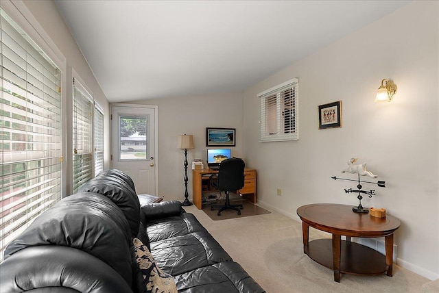27 N Peach St, Hart, MI 49420 - photo 28