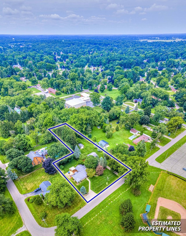 1286 Levant St, Jackson, MI 49203 - photo 43