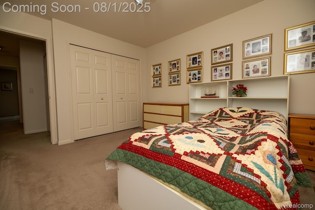 6926 Alden Dr, West Bloomfield, MI 48324 - photo 31