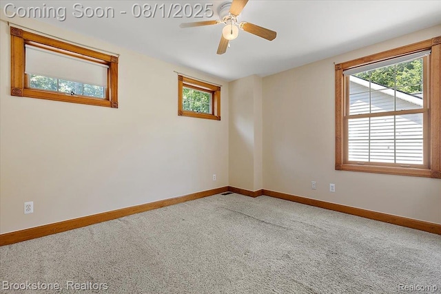 55520 Katie, New Hudson, MI 48165 - photo 33