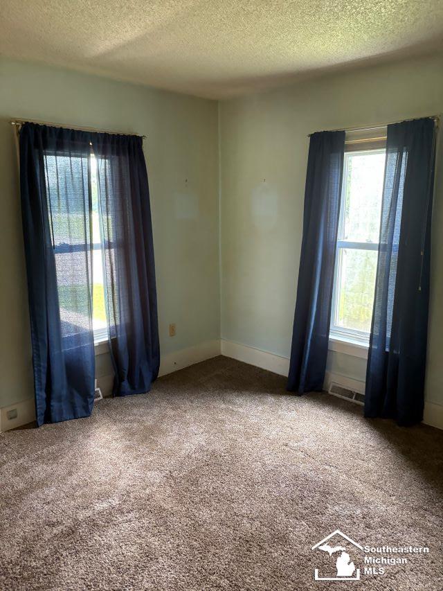 5782 Lewis Ave, Ida, MI 48140 - photo 9