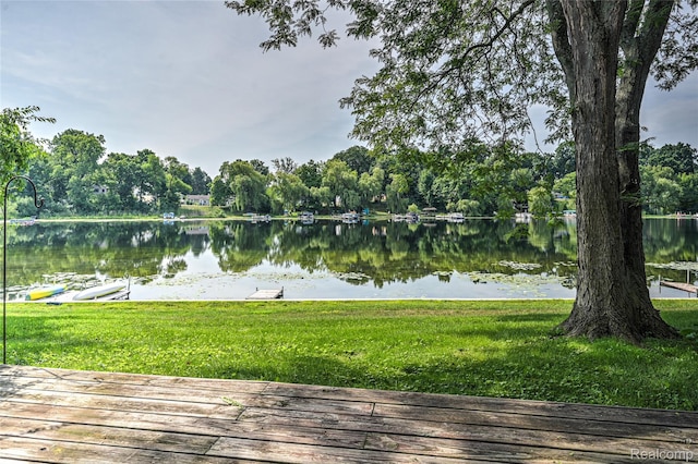 6649 Andersonville Rd, Clarkston, MI 48346 - photo 50