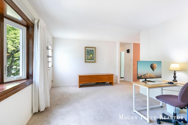 1320 Beckwith Ave NE, Grand Rapids, MI 49505 - photo 5