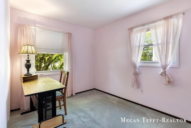 1320 Beckwith Ave NE, Grand Rapids, MI 49505 - photo 24