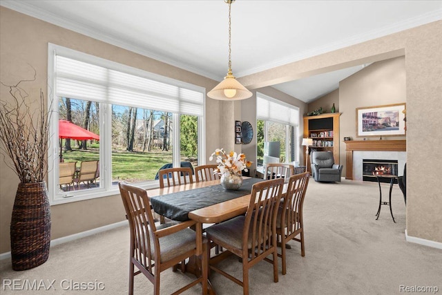 4435 Driftwood Dr, Commerce Twp, MI 48382 - photo 17