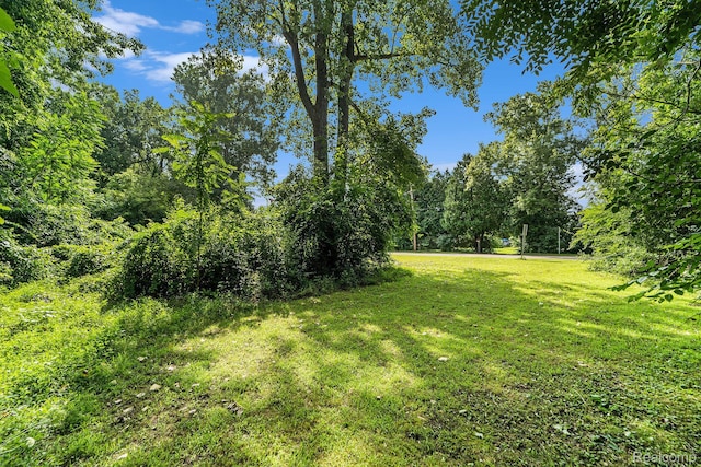 7275 Locklin, West Bloomfield, MI 48324 - photo 2
